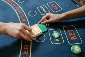 MSC live-dealer studio with professional croupier and multi-camera setup on birtoto login